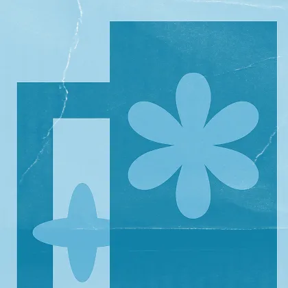 Adaptionen